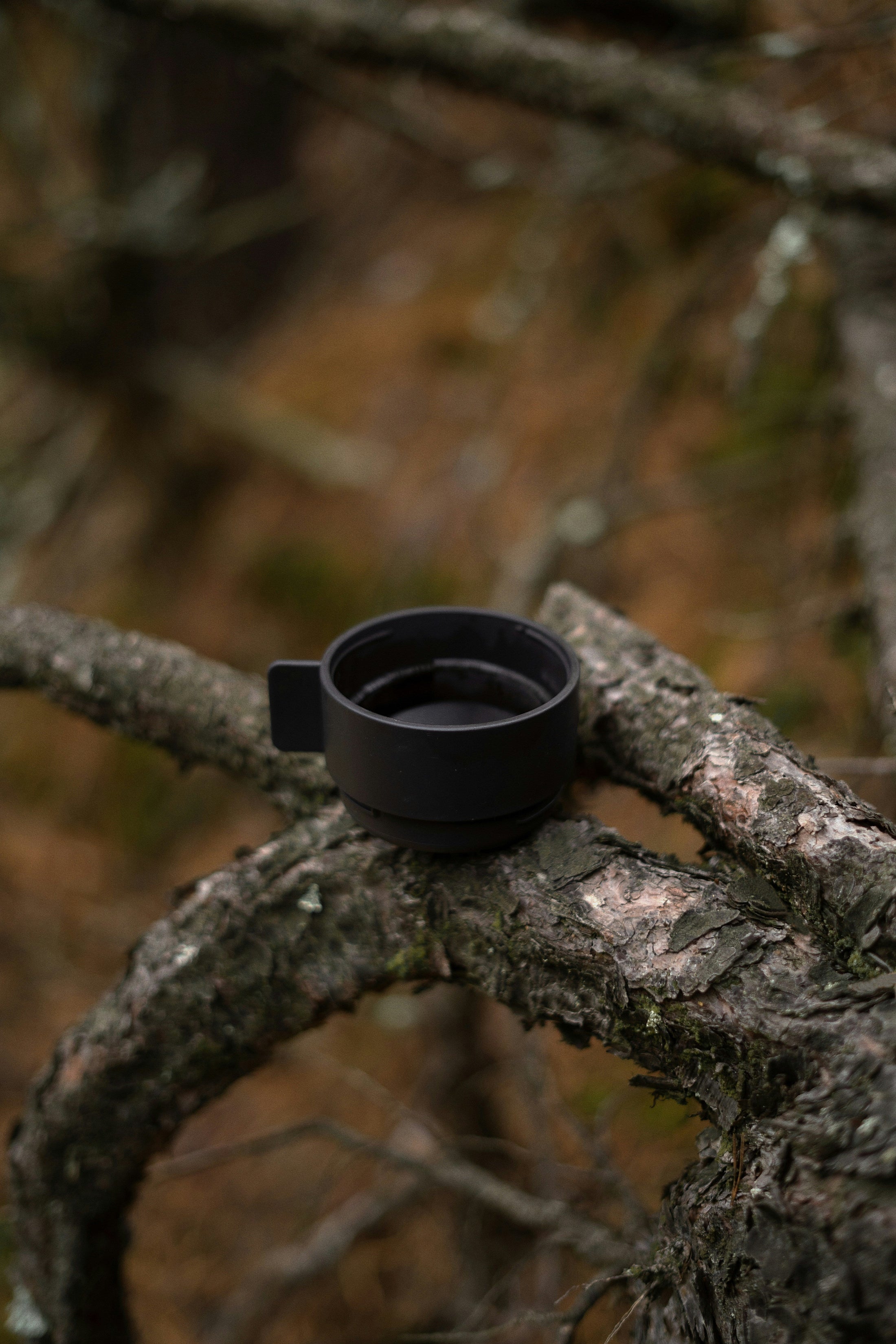 Black travel mug with lid resting on a mossy branch outdoors