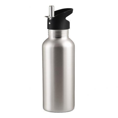 20 oz Silver stainless steel drinkware blank wholesale