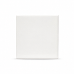 ORCA 6" x 6" Glass Tile Blanks